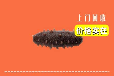 屯昌县回收海参