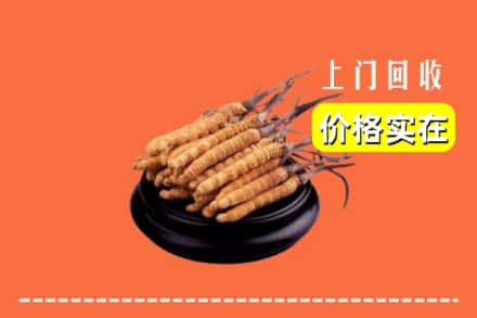 屯昌县回收冬虫夏草
