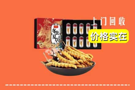 屯昌县回收虫草