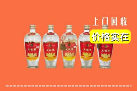 屯昌县回收老五粮液